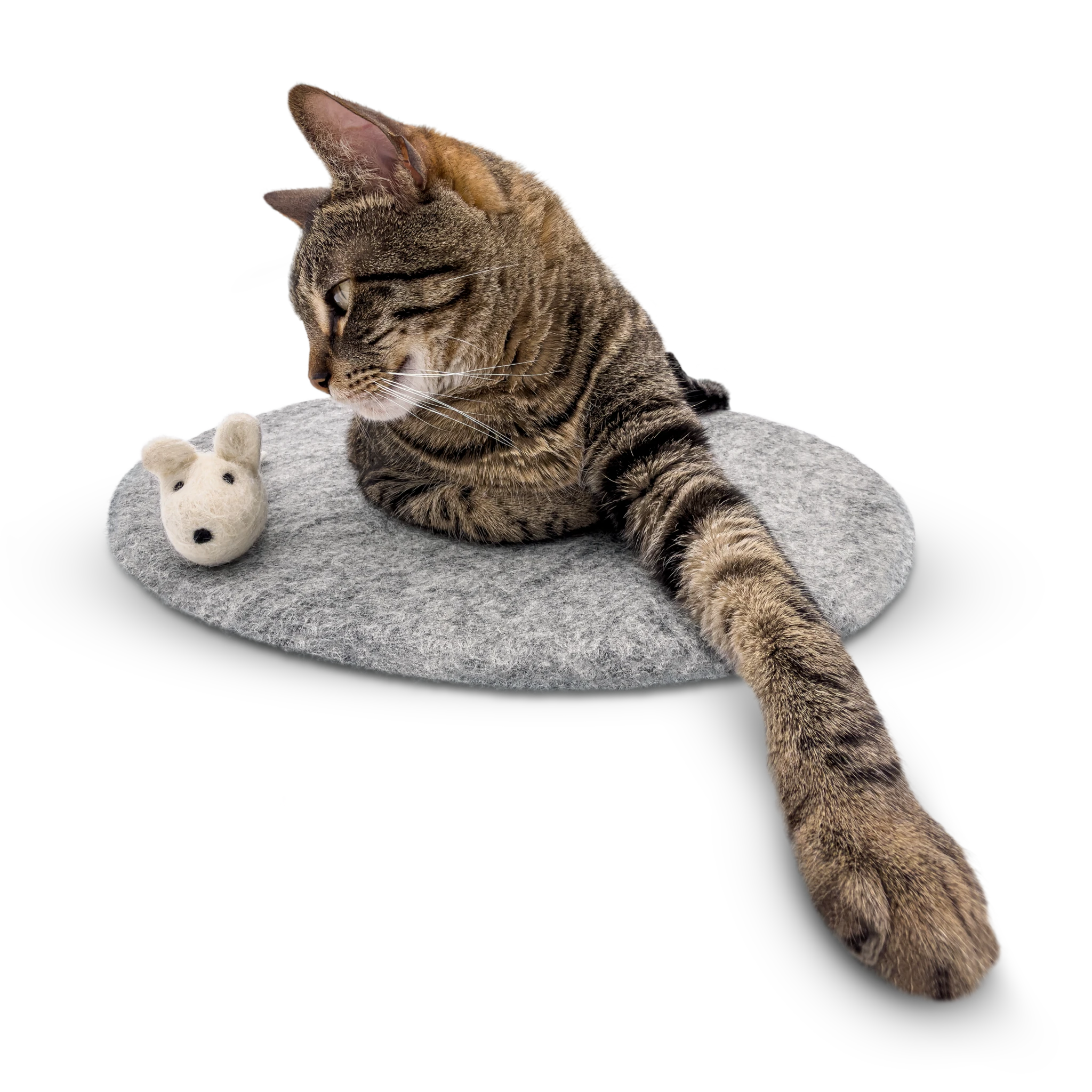Tabby cat playing with a white mouse toy on a round grey felted wool cat bed.