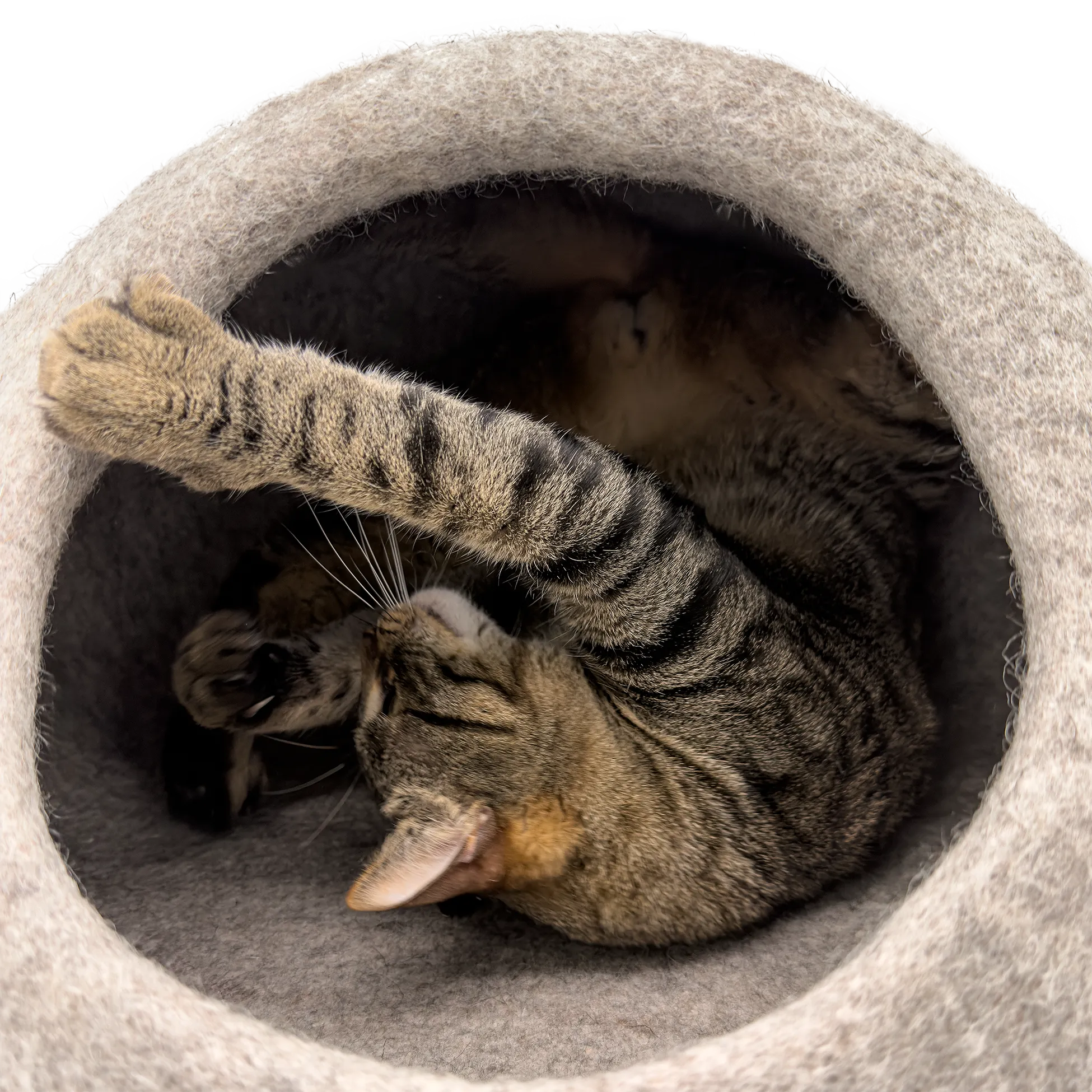 Tabby cat playing and rolling inside a light brown felted wool cat cave bed with one paw extended