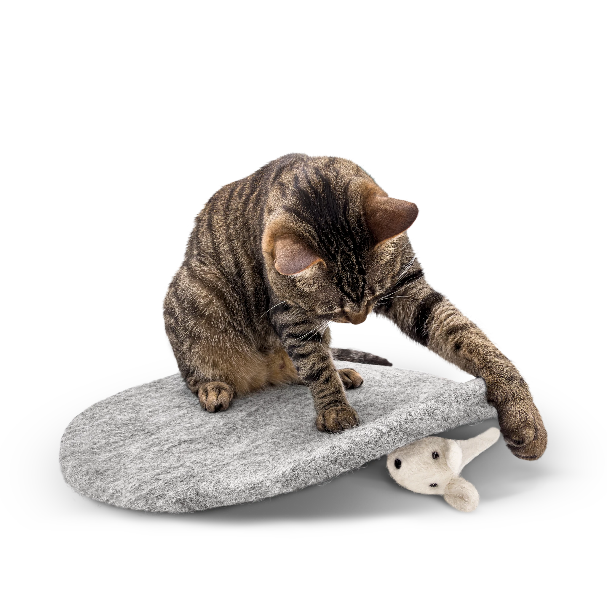 Tabby cat sitting on round grey wool mat playing with mouse toy on a light background.