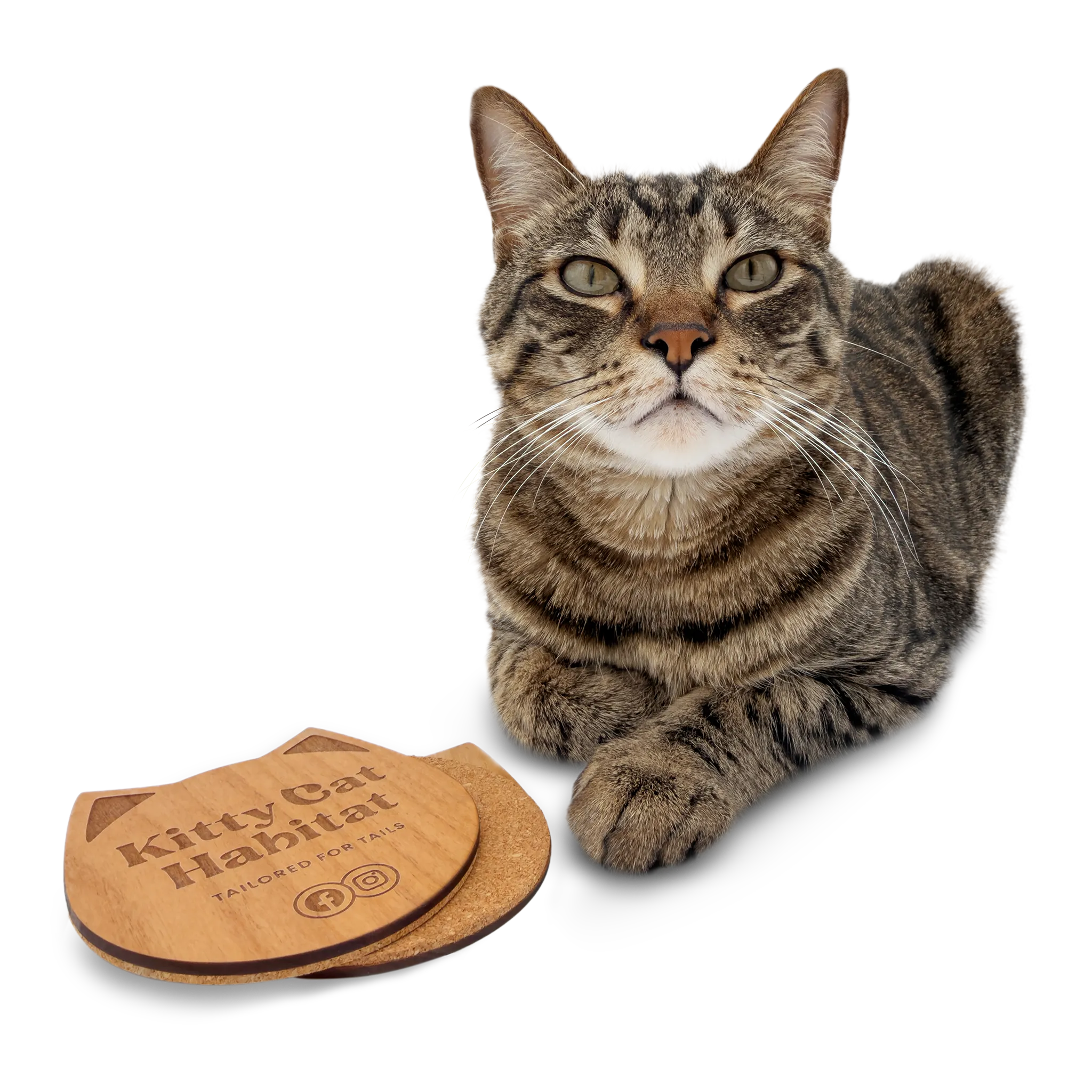 Tabby cat sitting beside a wooden cat head drink coaster on a light background.